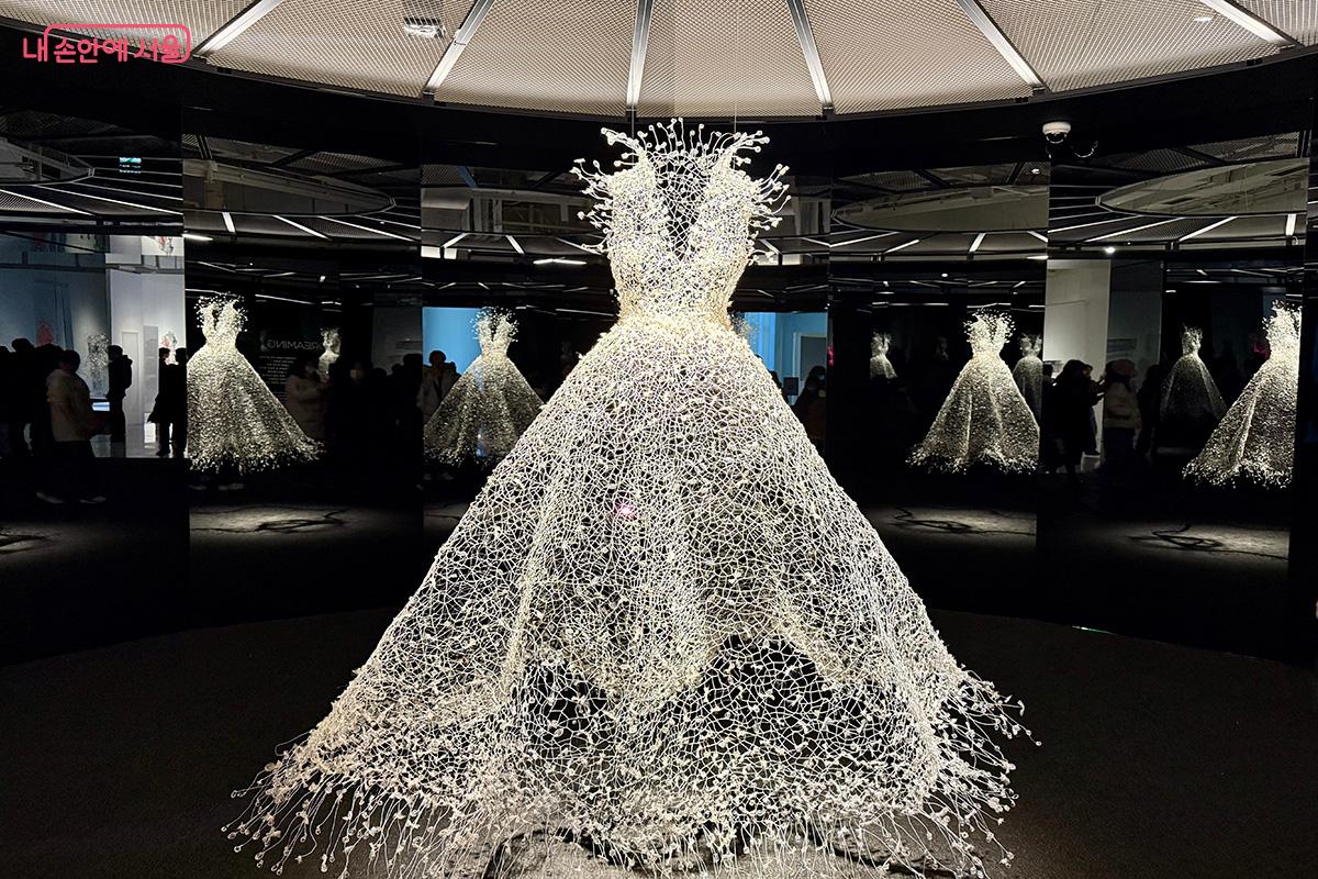 3층 전시장 입구에서 몽환적인 빛으로 시선을 사로잡는 '백매' &copy;김미정