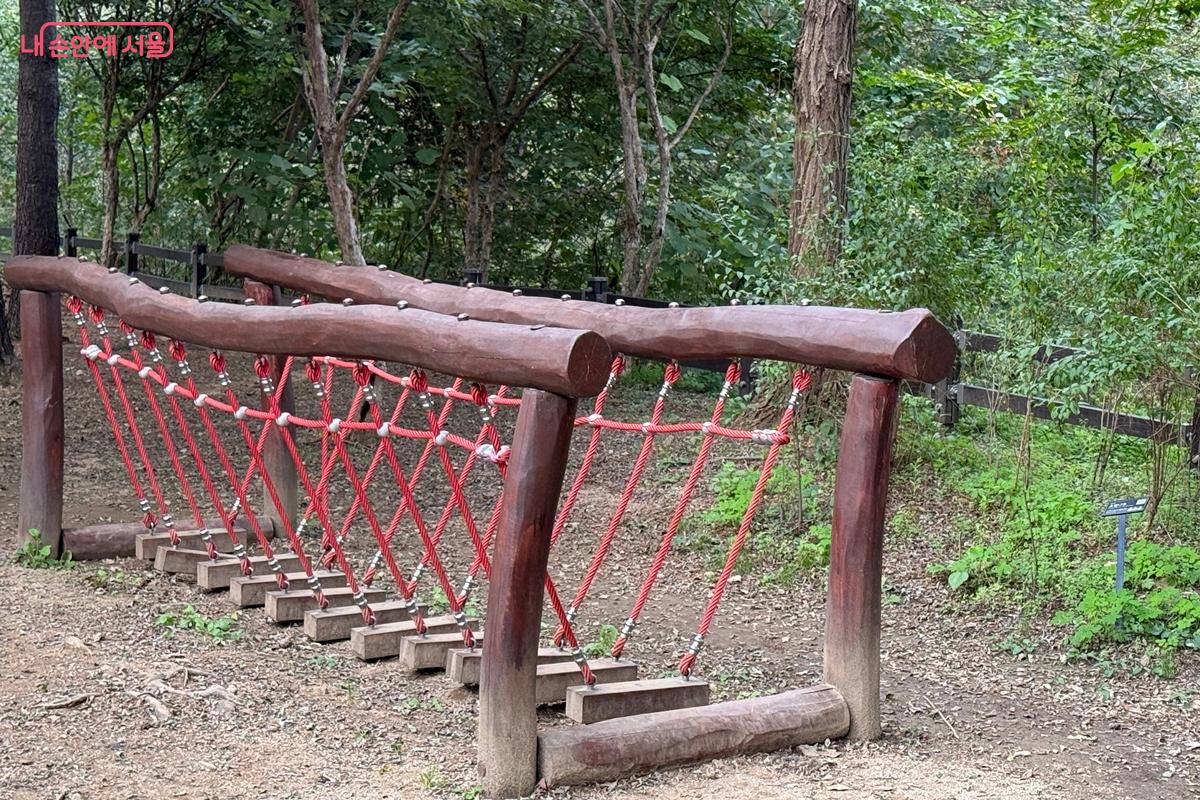 안전하게 만든 &lsquo;밧줄놀이대&rsquo; &copy;임윤아