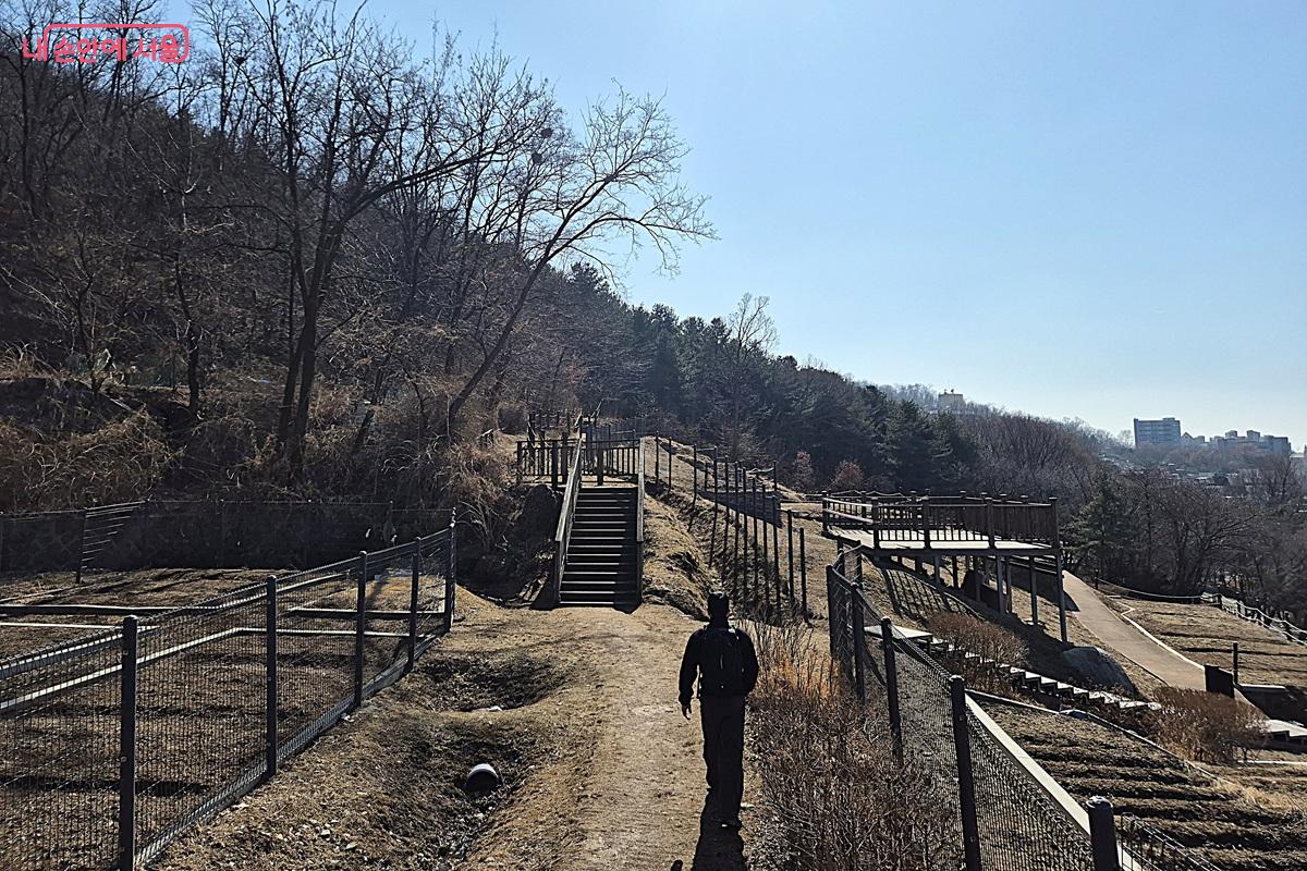 중랑둘레길에는 커다란 규모의 배밭이 있는데, 그 옆에는 작은 규모의 배밭이 있는데, 그 옆에는 시민들이 함께 가꾸는 작은 텃밭이 있다. &copy;마가은