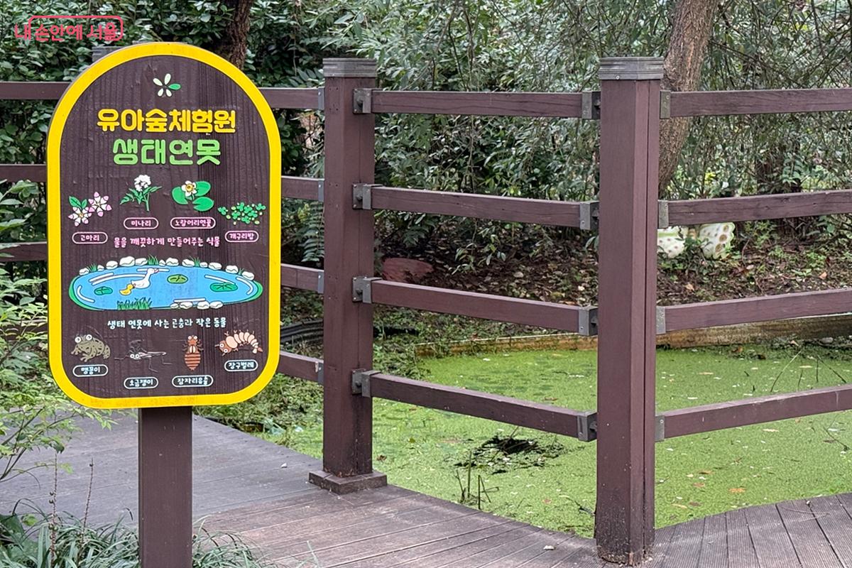 관찰로 만나는 자연 &lsquo;생태연못&rsquo; &copy;임윤아