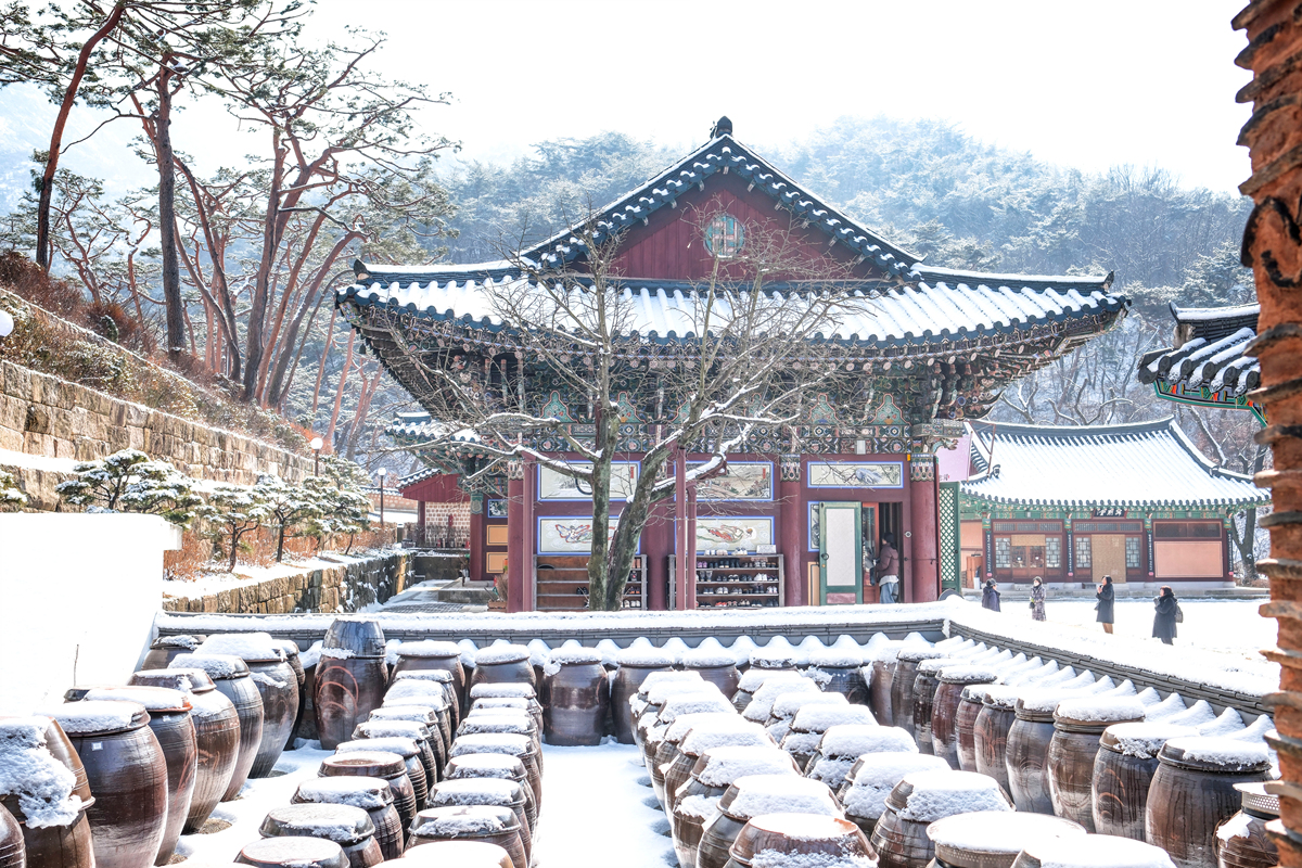 서울의 숨은 설경 명소! 은평한옥마을에서 보낸 고요한 하루