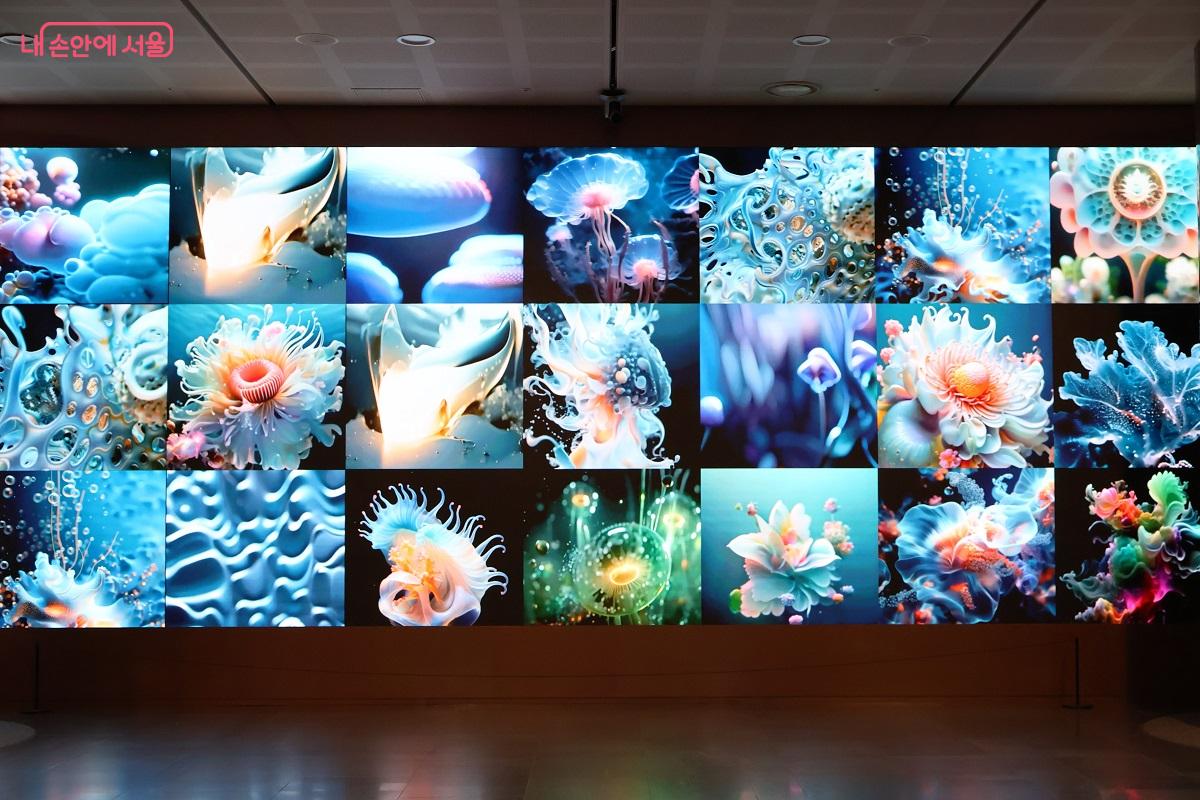 서울시청 1층에서 <헤이라: 심연의 기억, 김보슬 2026.1.1- 3.31> 전시가 열리고 있다. &copy;이봉덕  