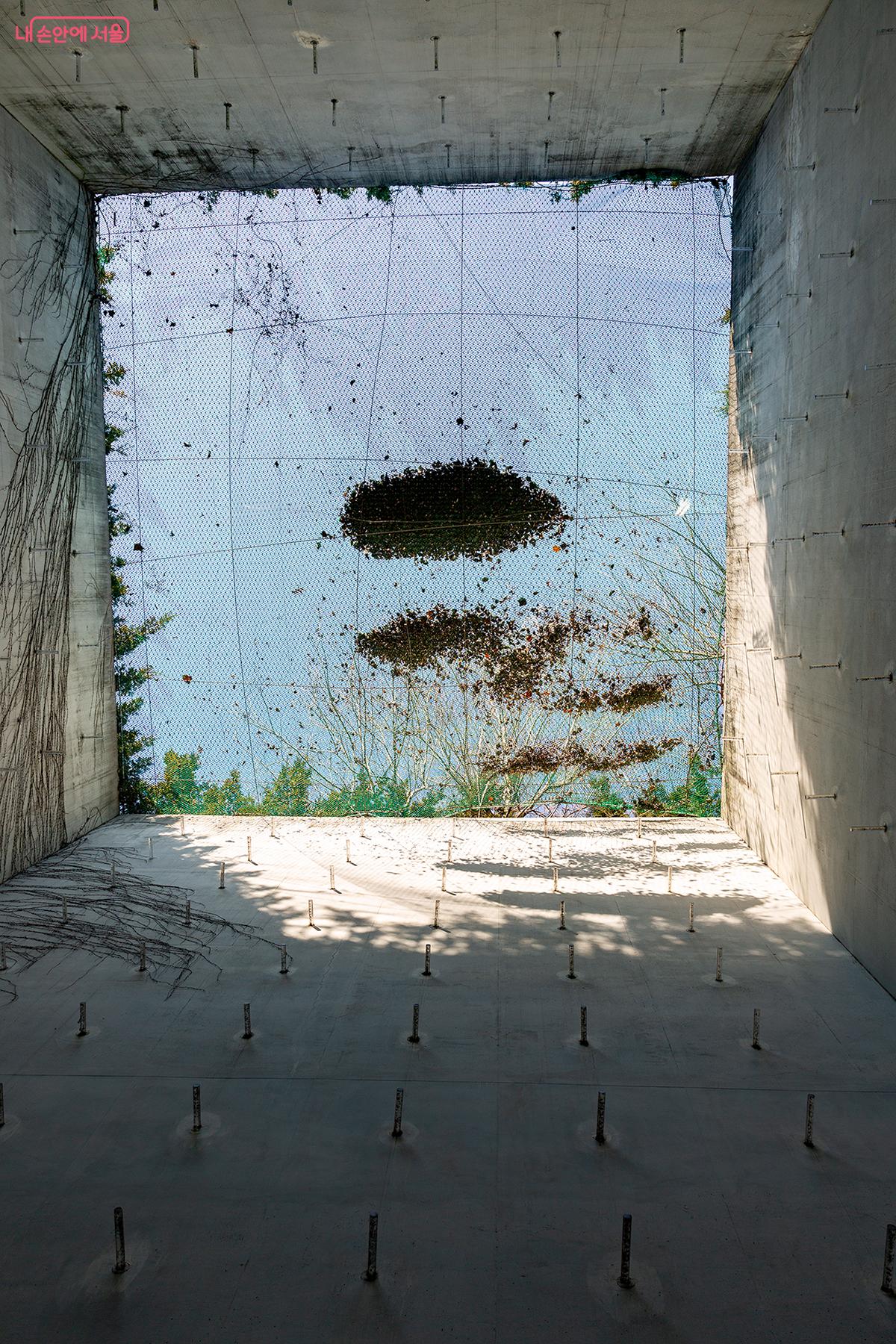 자연과 공간이 만나는 곳, 마음을 내려놓는 중정