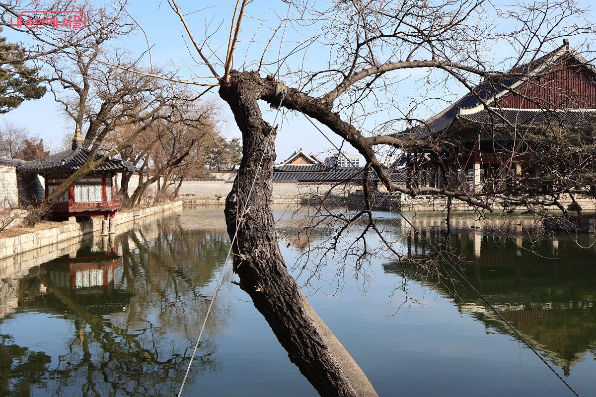 왕이 신하들과 연회를 열고 외국 사신을 접대하던 경회루의 고즈넉한 풍경에 관람객의 탄성이 이어진다. &copy;김대진 