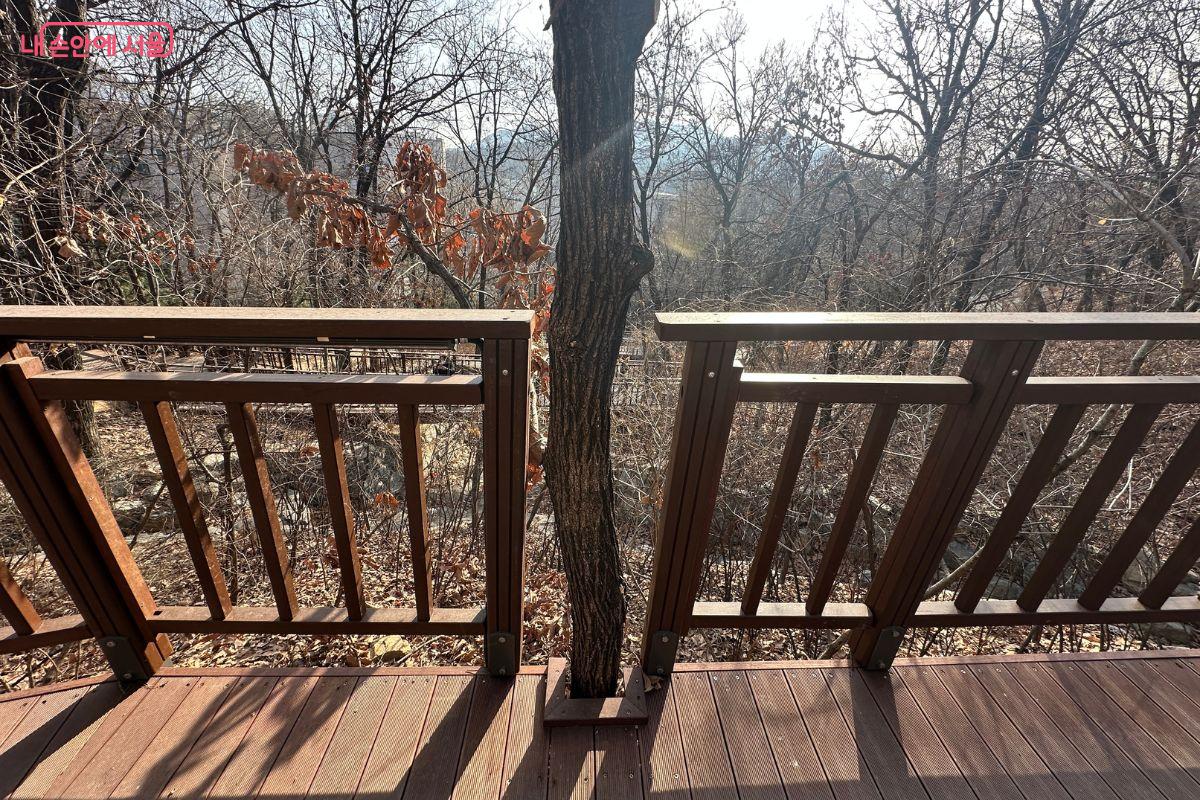 무장애숲길이 설치되는 공간의 기존 나무를 최대한 보존했다.&copy;김재형