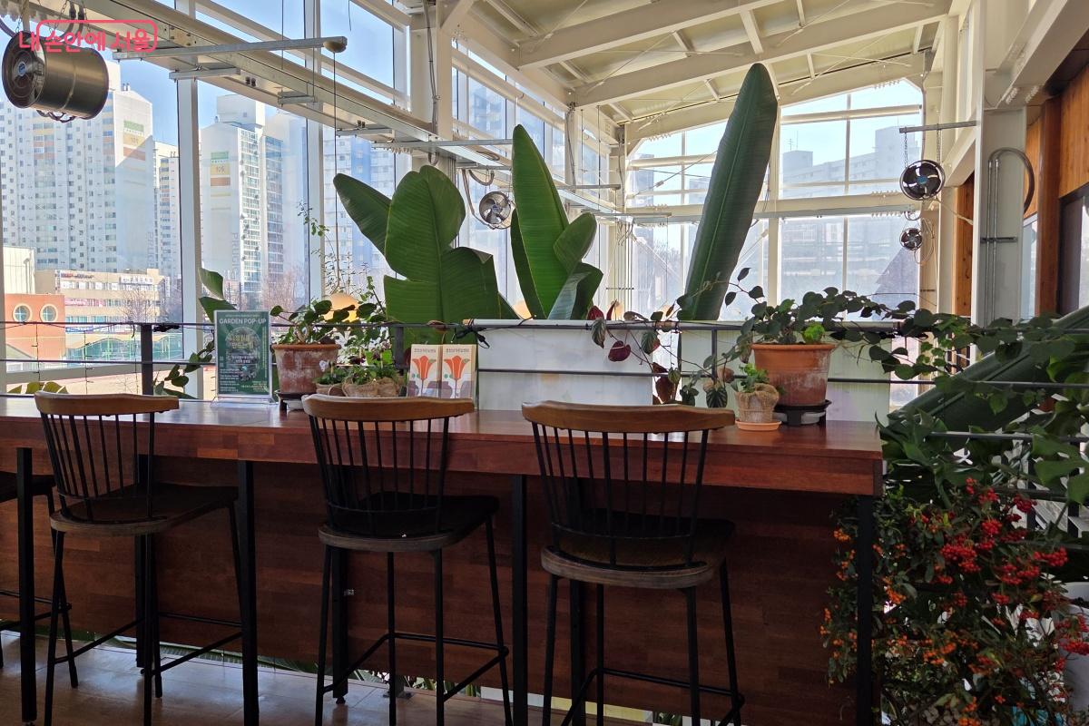 '초록책방' 의자에 앉아 온실의 식물을 바라본다. &copy;김미선