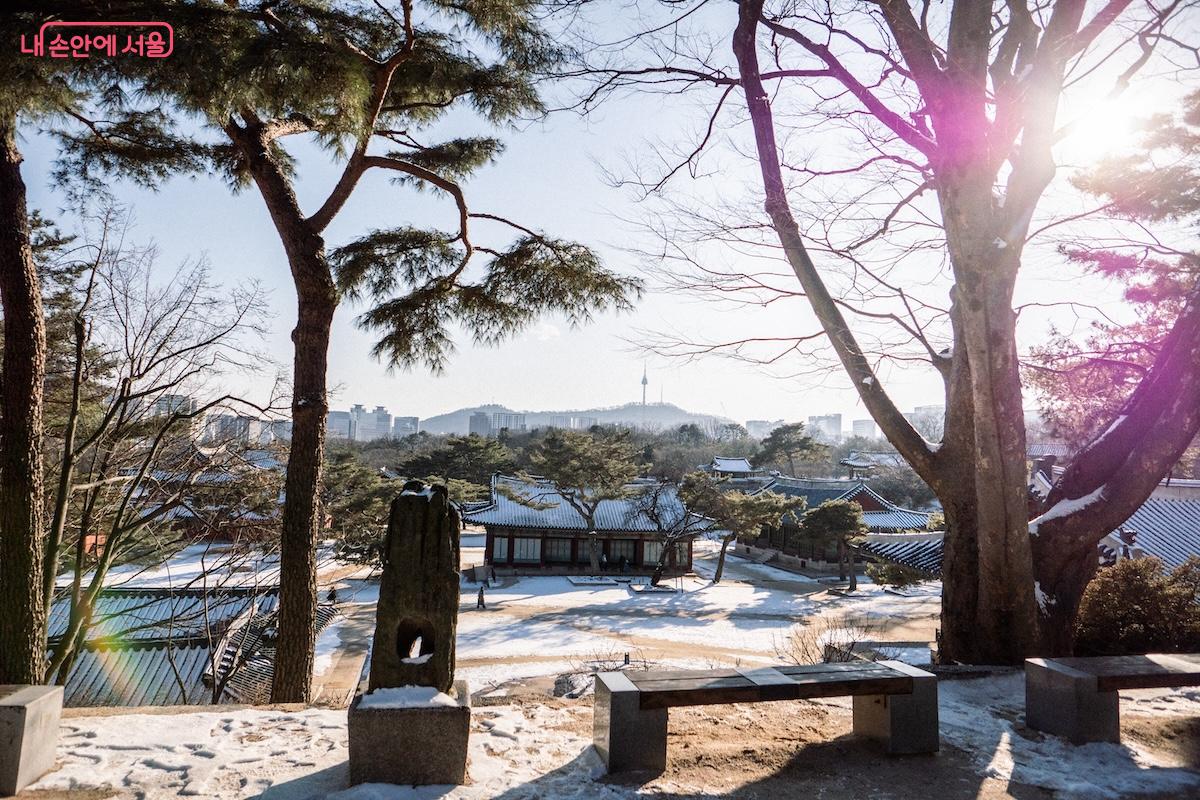 풍기대 주변에서 바라보는 창경궁 환경전의 모습이다 