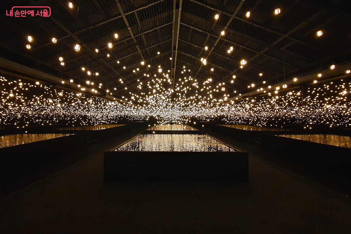 어두운 이벤트하우스 천장에서 수많은 작은 조명들이 내려와 수조 위로 반사되는 '온빛' 전시의 환상적인 풍경이다.