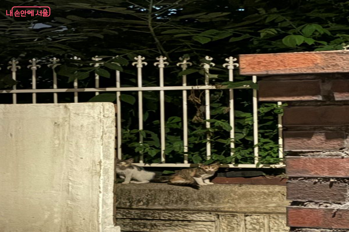 서울시 청년월세지원 조건에 맞는 집을 찾게 됐다. &copy;황진희