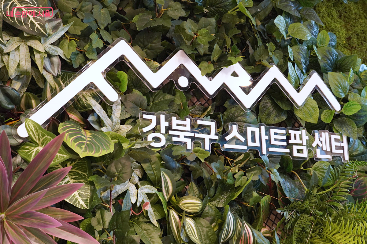 초록잎 장식으로 뒤덮인 벽에 흰색의 강북구 스마트팜 센터 글자와 심볼이 고정되어 있다.