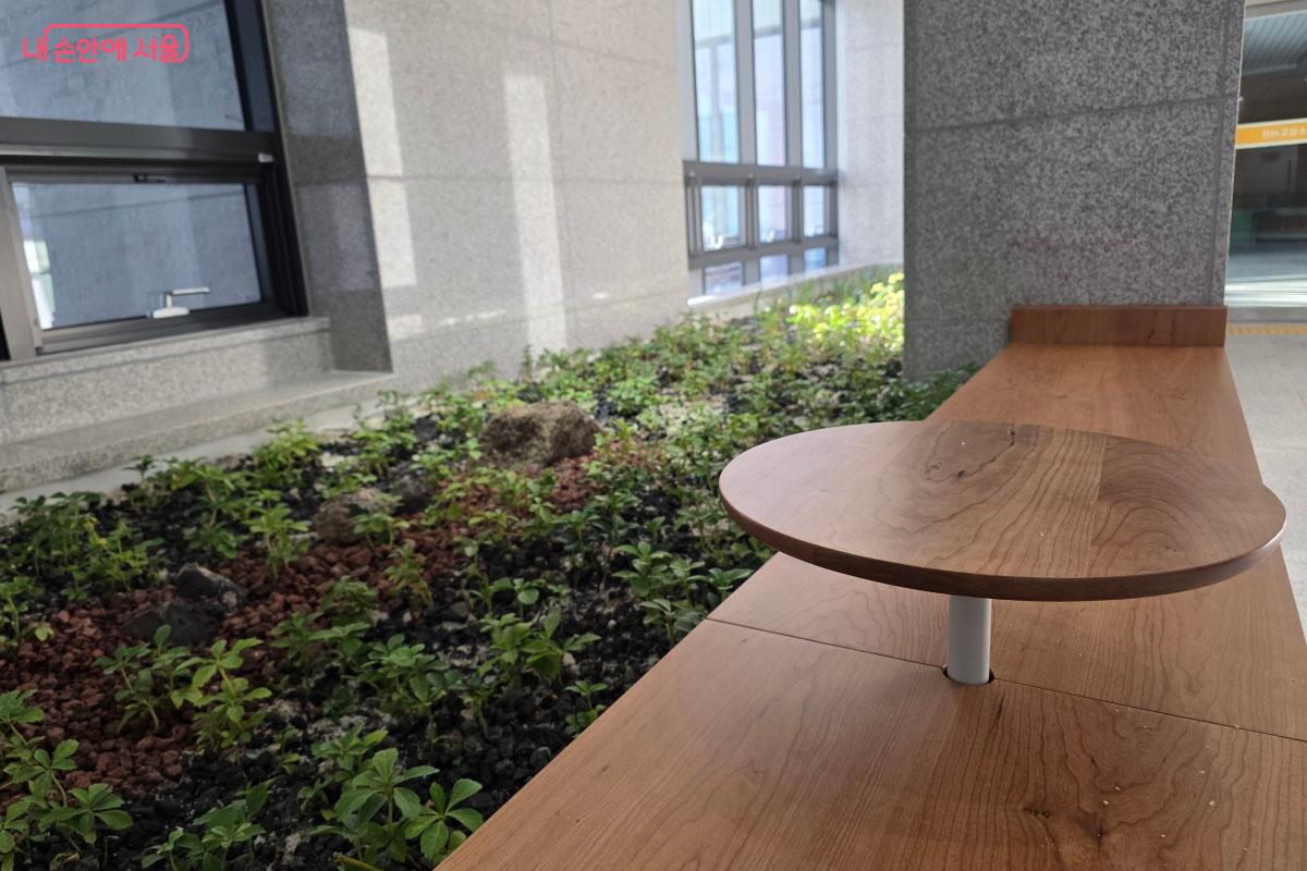 파릇파릇한 실내 식물 화단 옆에 설치된 원형 나무 벤치 ⓒ한제우