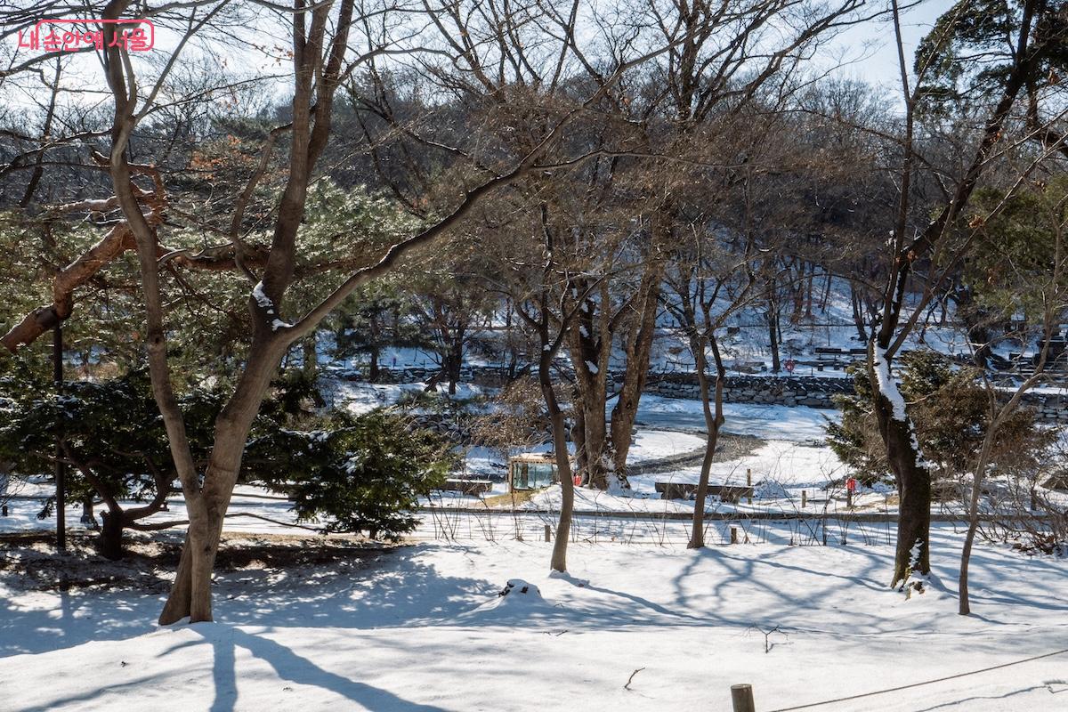 창경궁 춘당지로 이어지는 관람로를 따라 궁궐 산책하기