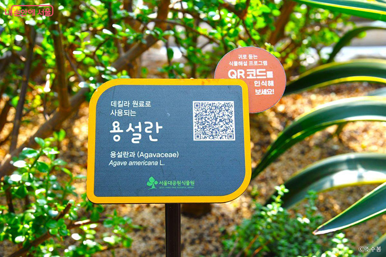 식물원 전시온실과 야외주제원의 주요 수종 30종을 대상으로 QR 기반의 시청각 정보 서비스를 제공한다. 