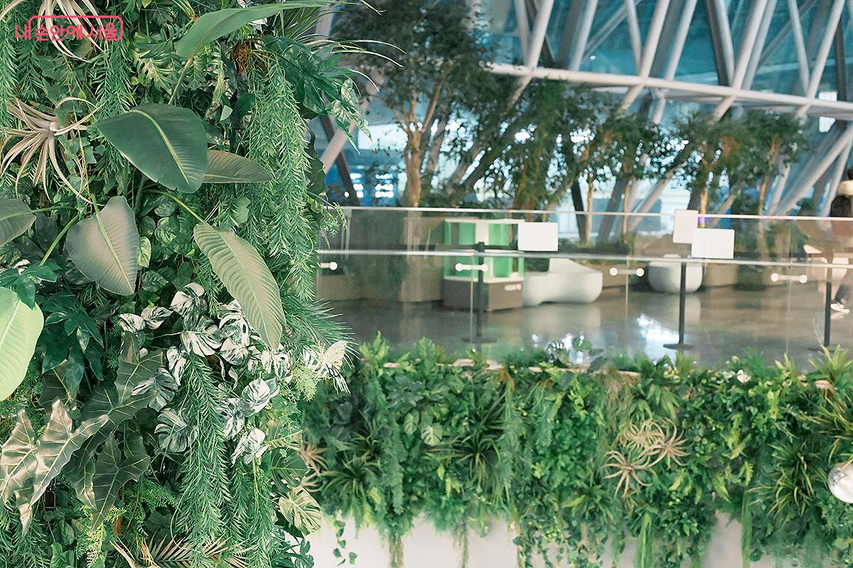 시선을 가득 사로잡는 편안한 녹색 식물들이 기둥을 타고 있다.