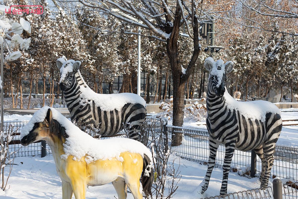 올해는 병오년, 붉은 말의 해로 유독 눈에 들어왔다. ⓒ문청야 