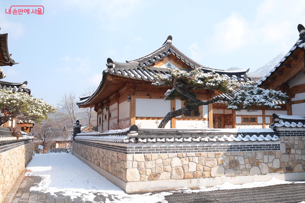 나지막한 담장 너머 흰 눈이 내려앉은 소나무가 보인다. &copy;박우영