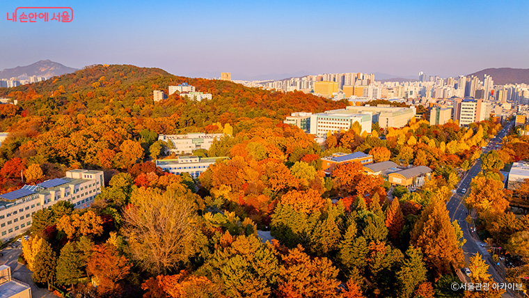 서울의 아름다운 숲 홍릉에 카이스트 일부 기관이 남아 있다.