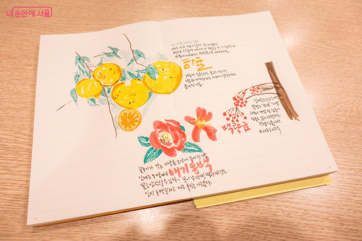 서울플래너에 첫 기록은 창경궁 대온실에서 좋아하며 구경했던 열매와 꽃이다