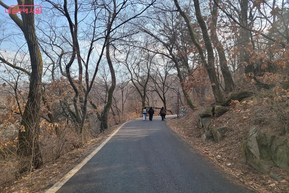 숲길을 따라 이어지는 망우산 둘레길 &copy;조연