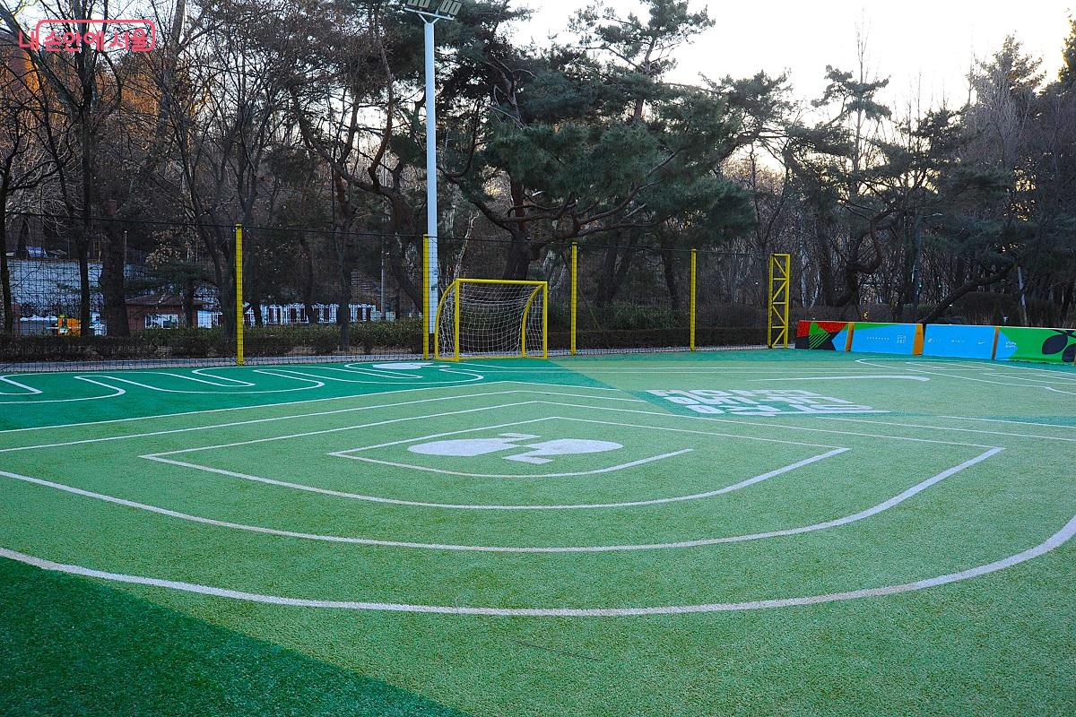 풋살장의 인조 잔디와 패턴 바닥 &copy;조수봉