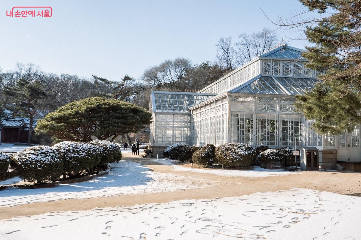 우리나라 최초의 서양식 온실인 창경궁 대온실은 국가등록문화유산이다