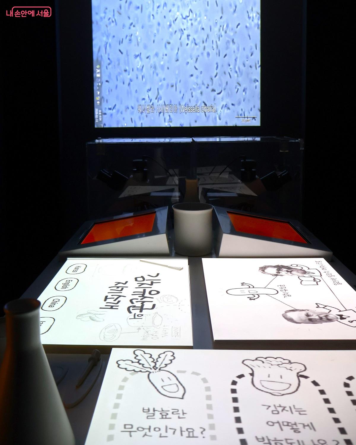 과학자의 방은 현미경으로 김치 유산균을 관찰하며 발효 과학을 탐구할 수 있다. &copy;이봉덕