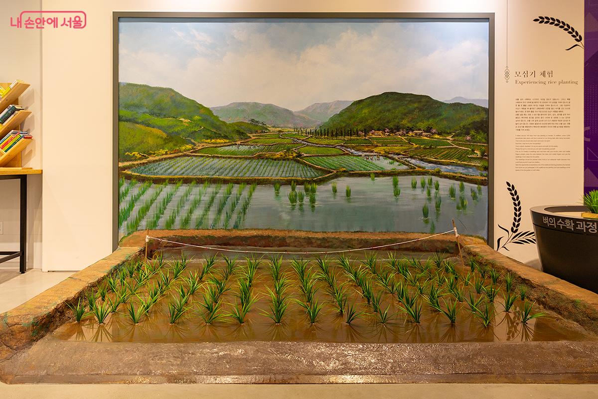 모내기 체험도 가능한 선농단역사문화관 ⓒ문청야
