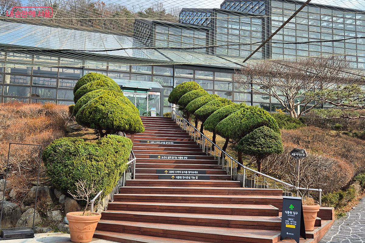 식물관으로 들어가는 입구의 목재 데크와 보행 약자용 손잡이가 깔끔하게 정돈되었다. &copy;정향선