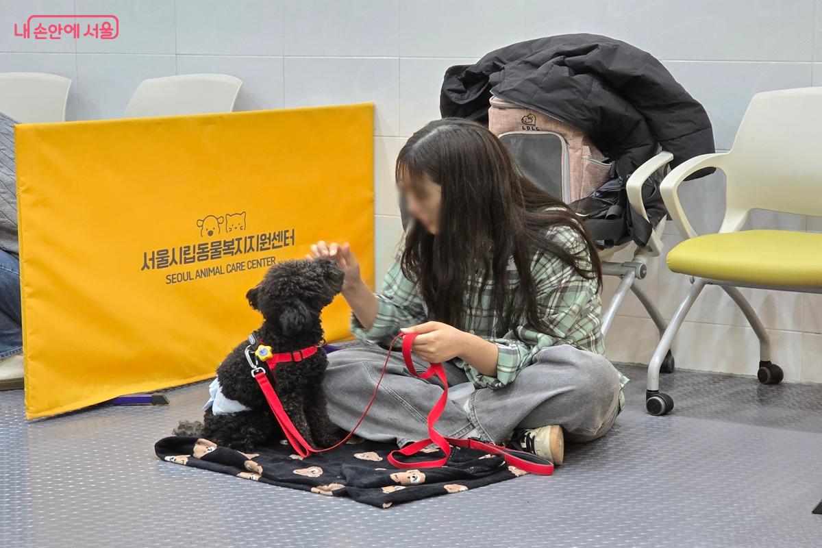 이름을 불렀을 때 보호자 얼굴을 바라보도록 반복적으로 훈련한다. &copy;강사랑