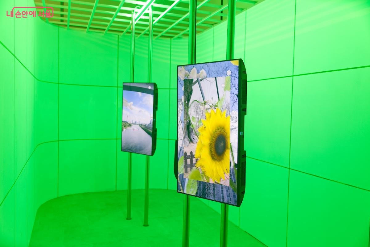 금천구에 개관한 공립미술관으로 서울시립미술관의 7번째 분관이다