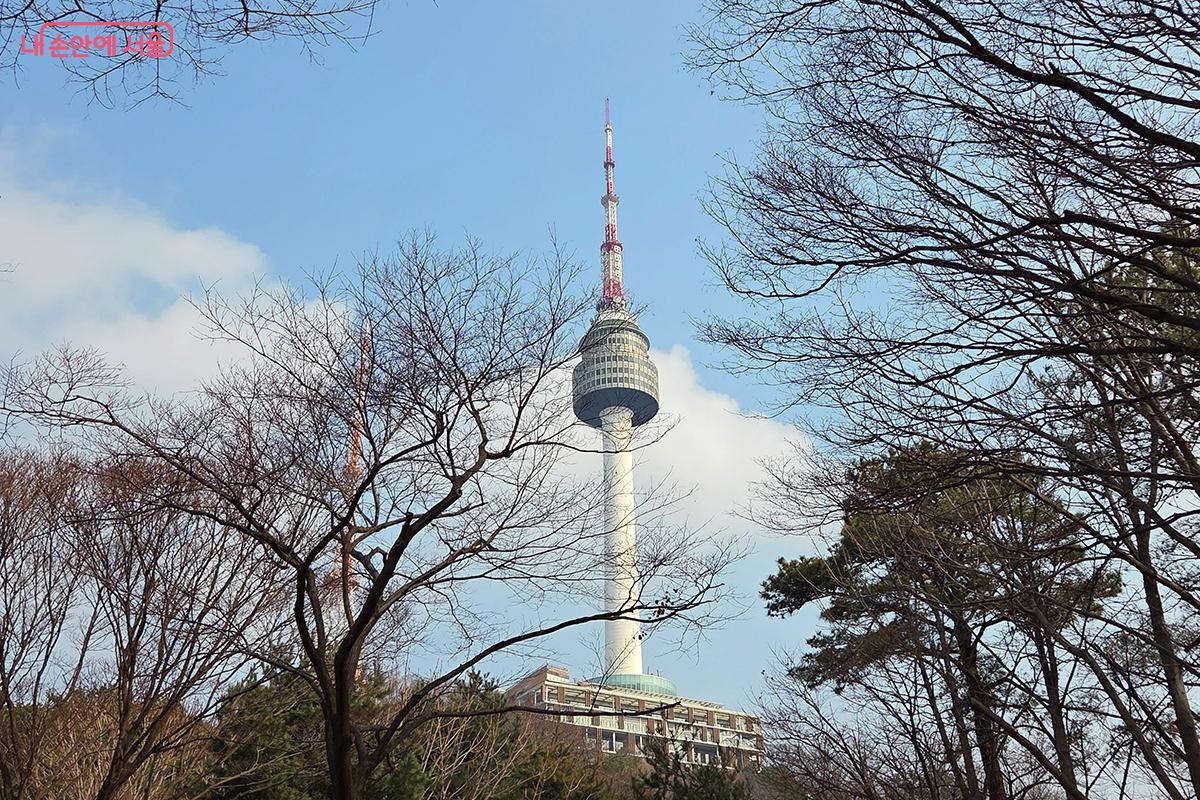 나무 사이로 모습을 드러낸 N서울타워 &copy;이다현