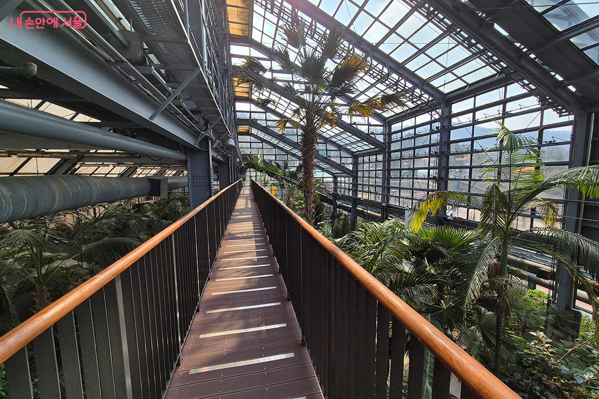아파트 2층 높이의 열대 나무들도 편하게 관람하는 재미가 있다. &copy;정향선