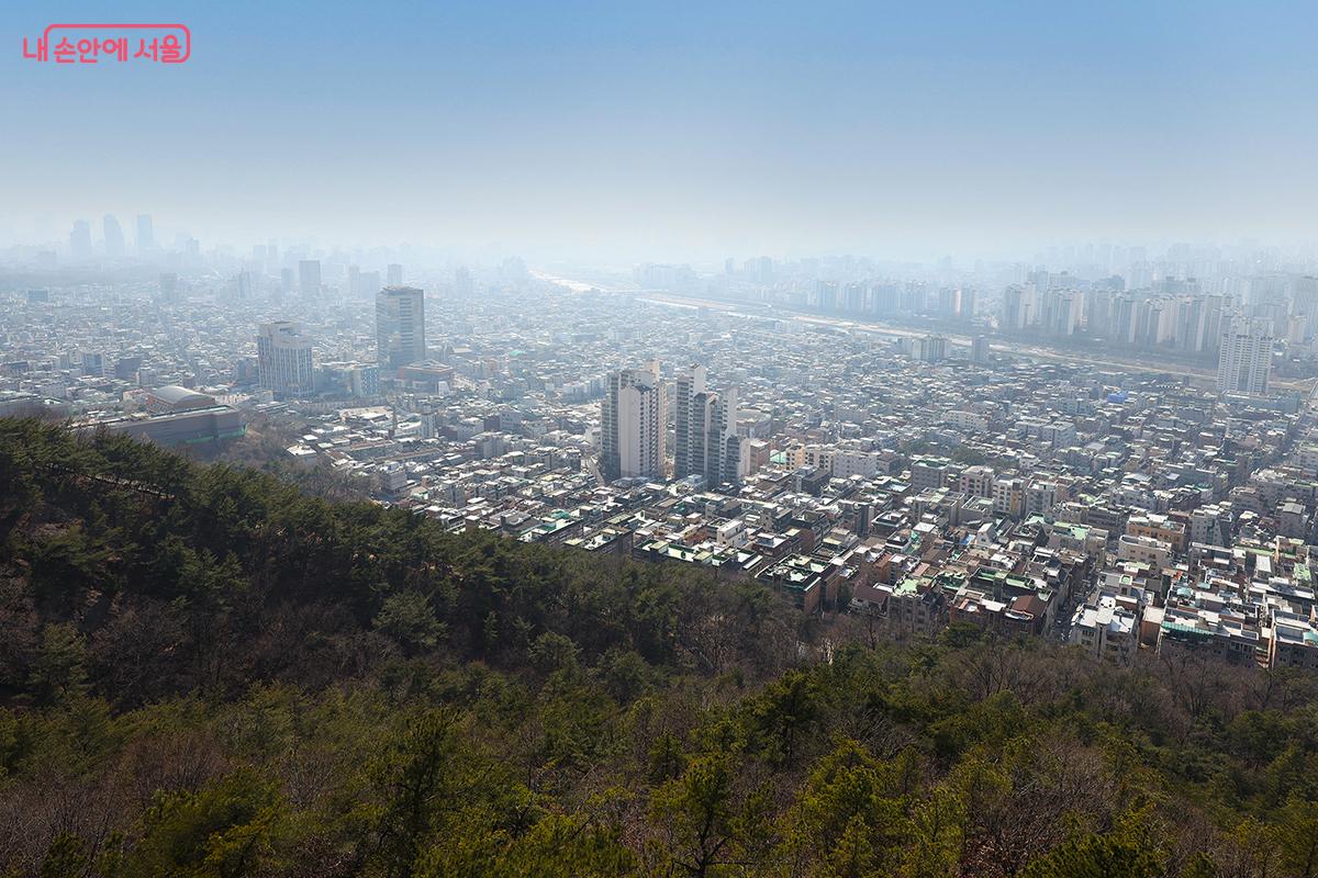 20분이면 만날 수 있는 봄이 찾아온 서울의 풍경 ©김주연