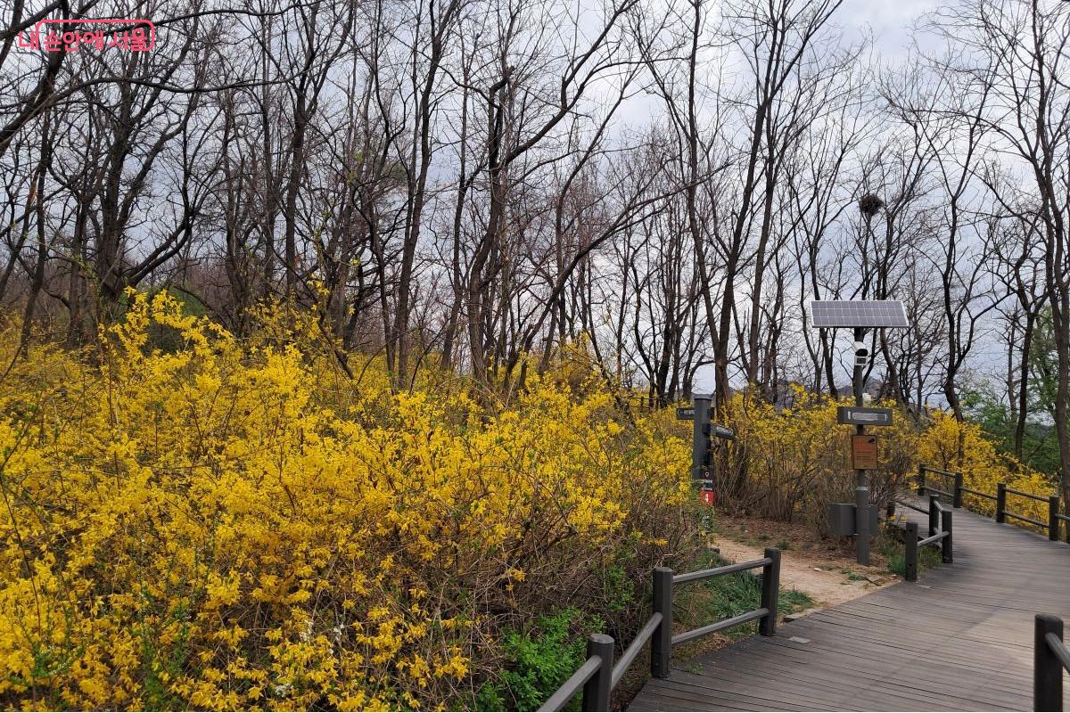 보행자 안전 및 산불 예방을 위해 설치된 스마트 안내 장비인 지능형 CCTV ©장형진