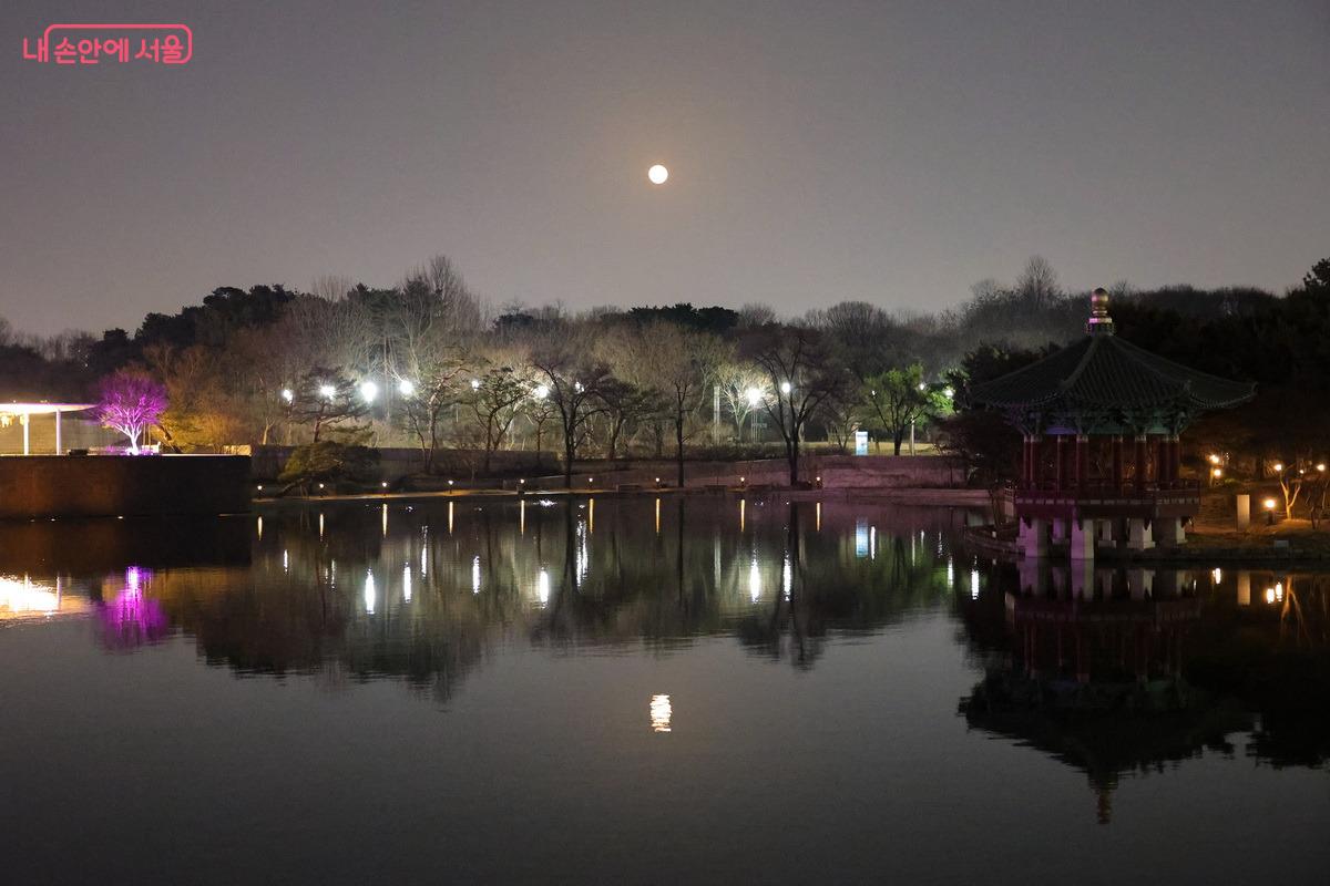 거울못의 밤은 한 폭의 수묵화 같다. &copy;박성환