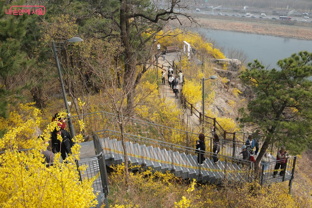 시민들이 나무 데크 길을 따라 응봉산을 오르고 있다. &copy;박우영