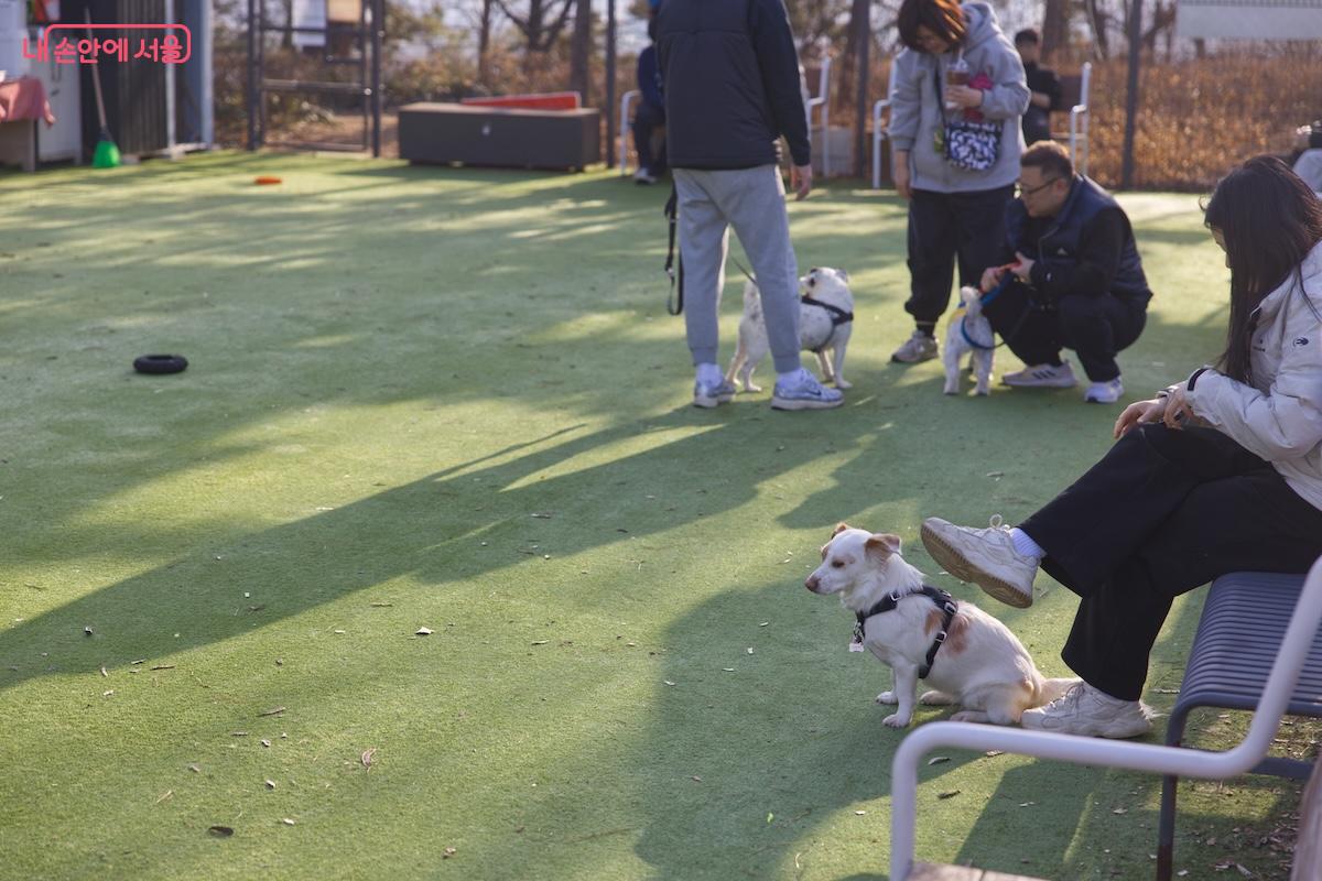 정상부에는 반려견 놀이터도 준비되어 있다. &copy;임중빈
