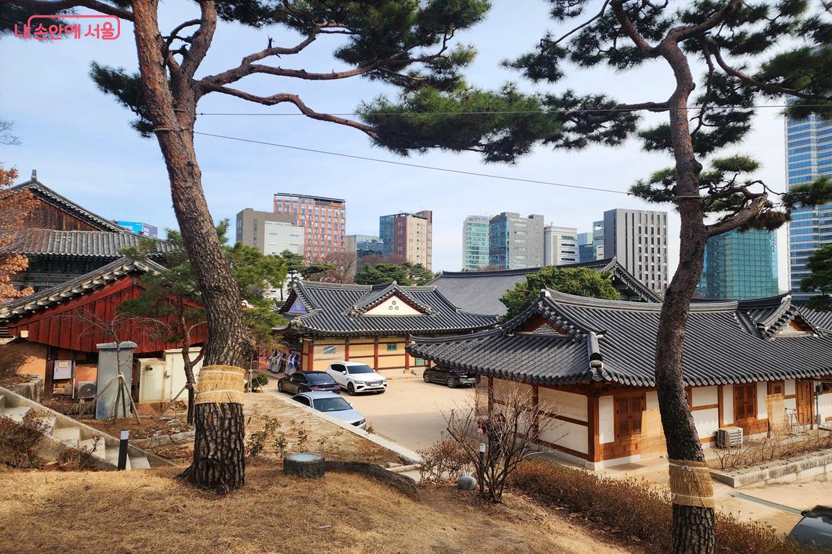 코엑스 바로 맞은편에 위치하고 있는 1,200년 역사의 봉은사 ©김윤화