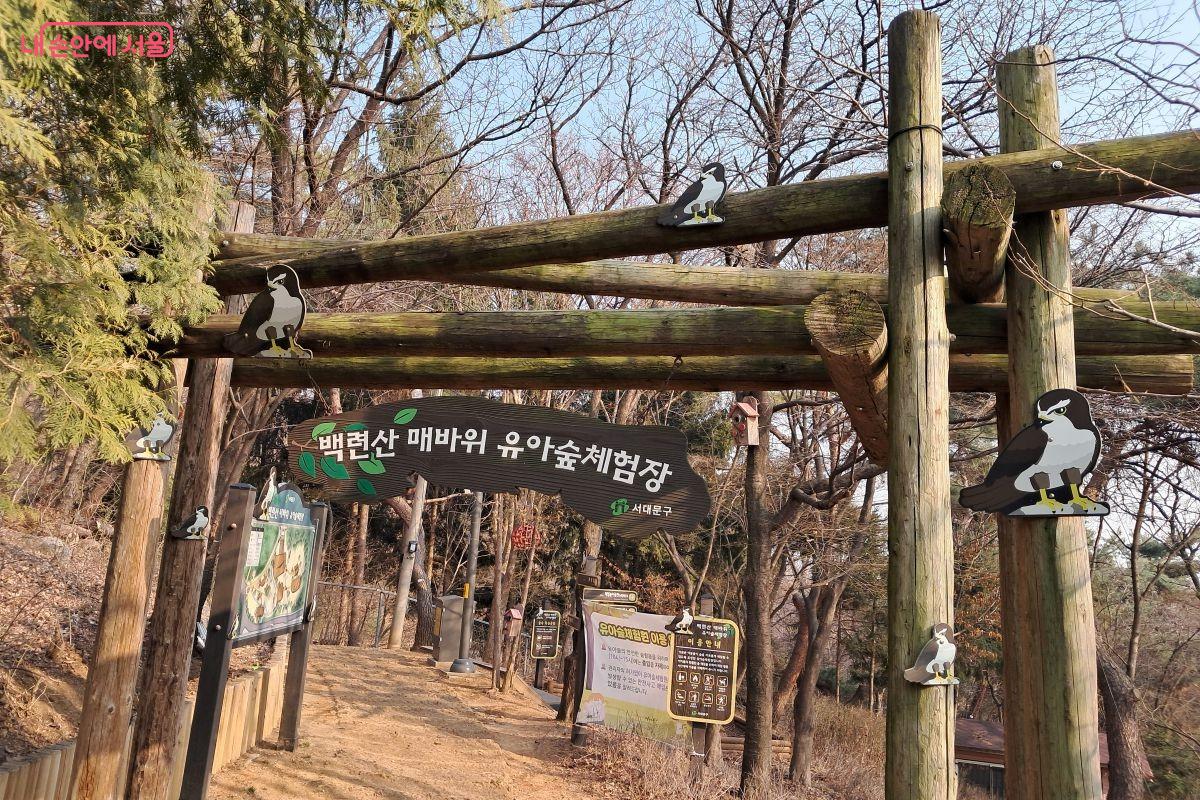 백련산 매바위 유아숲 체험장 ©장형진