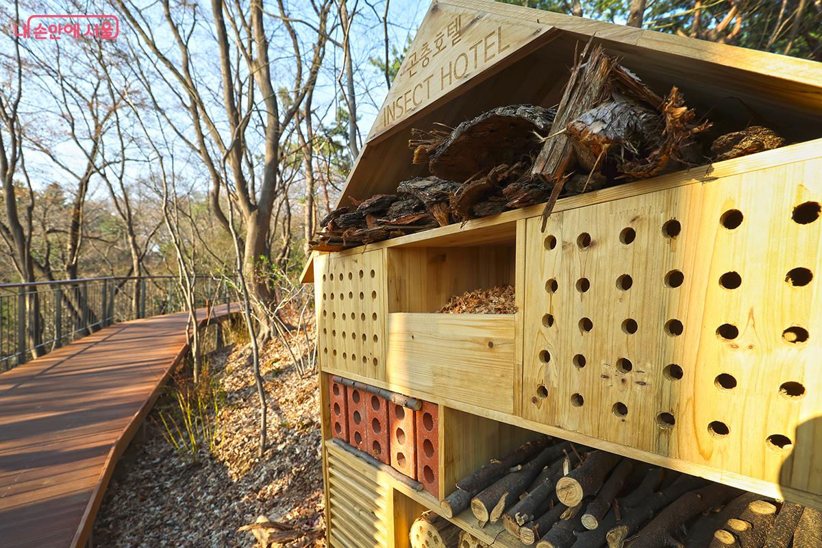곤충들과 공존하는 곤충호텔의 모습 &copy;김주연