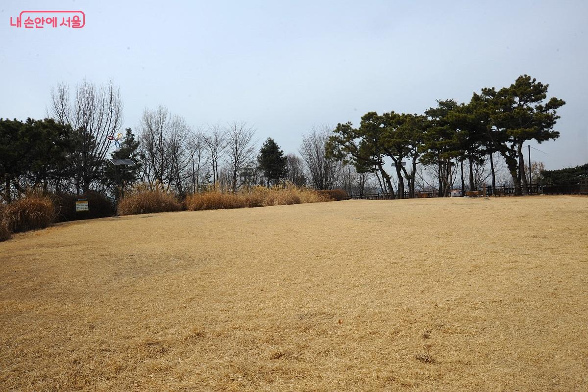 궁산 정상부의 양천고성지 &copy;조수봉