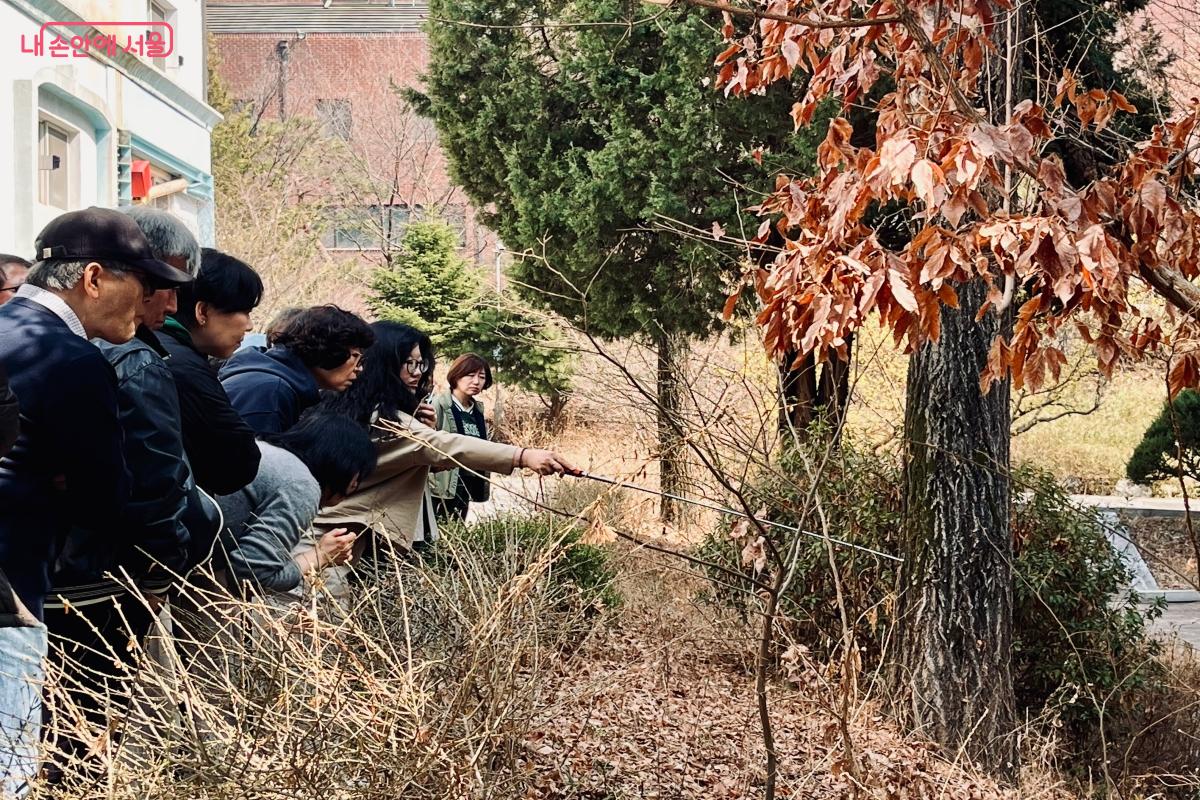 서울특별시 기술교육원 동부캠퍼스 내에 있는 나무들에 대한 설명을 듣고 있는 수강생들 ©이성국