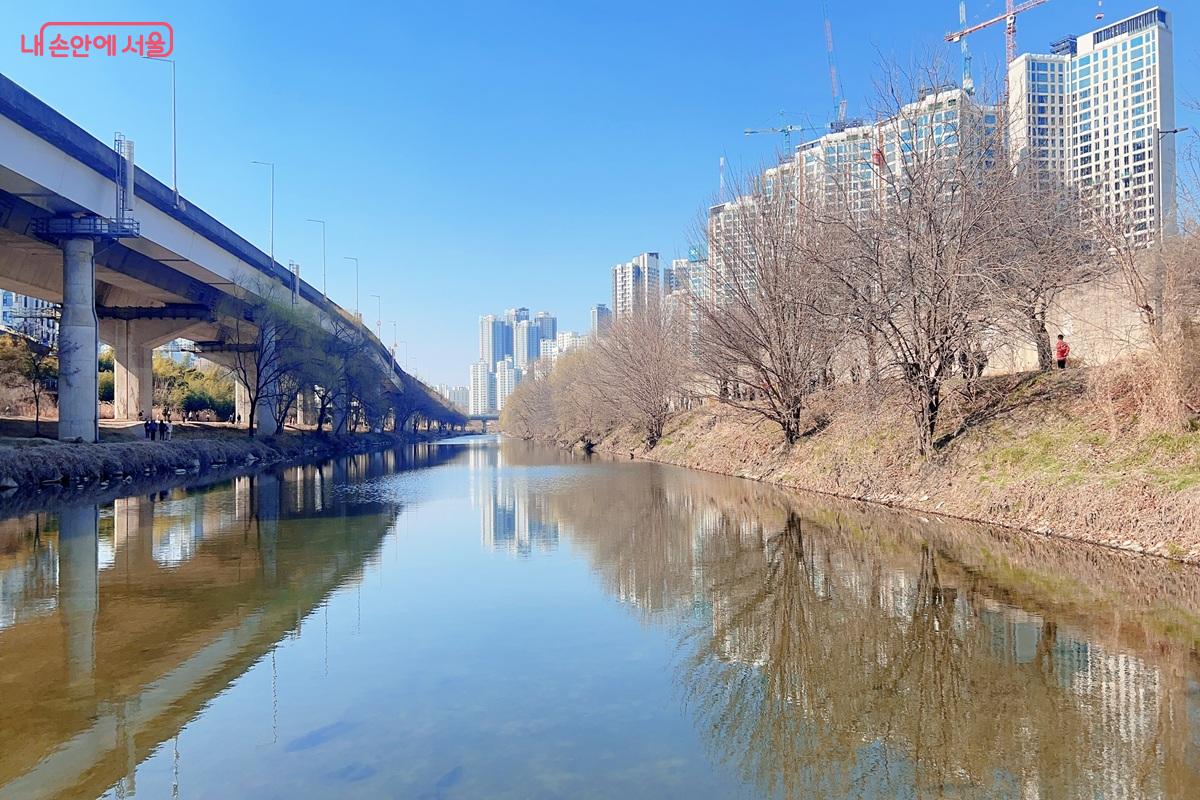 용답매화거리 옆으로 청계천도 함께 즐겨 보자. ⓒ백진숙