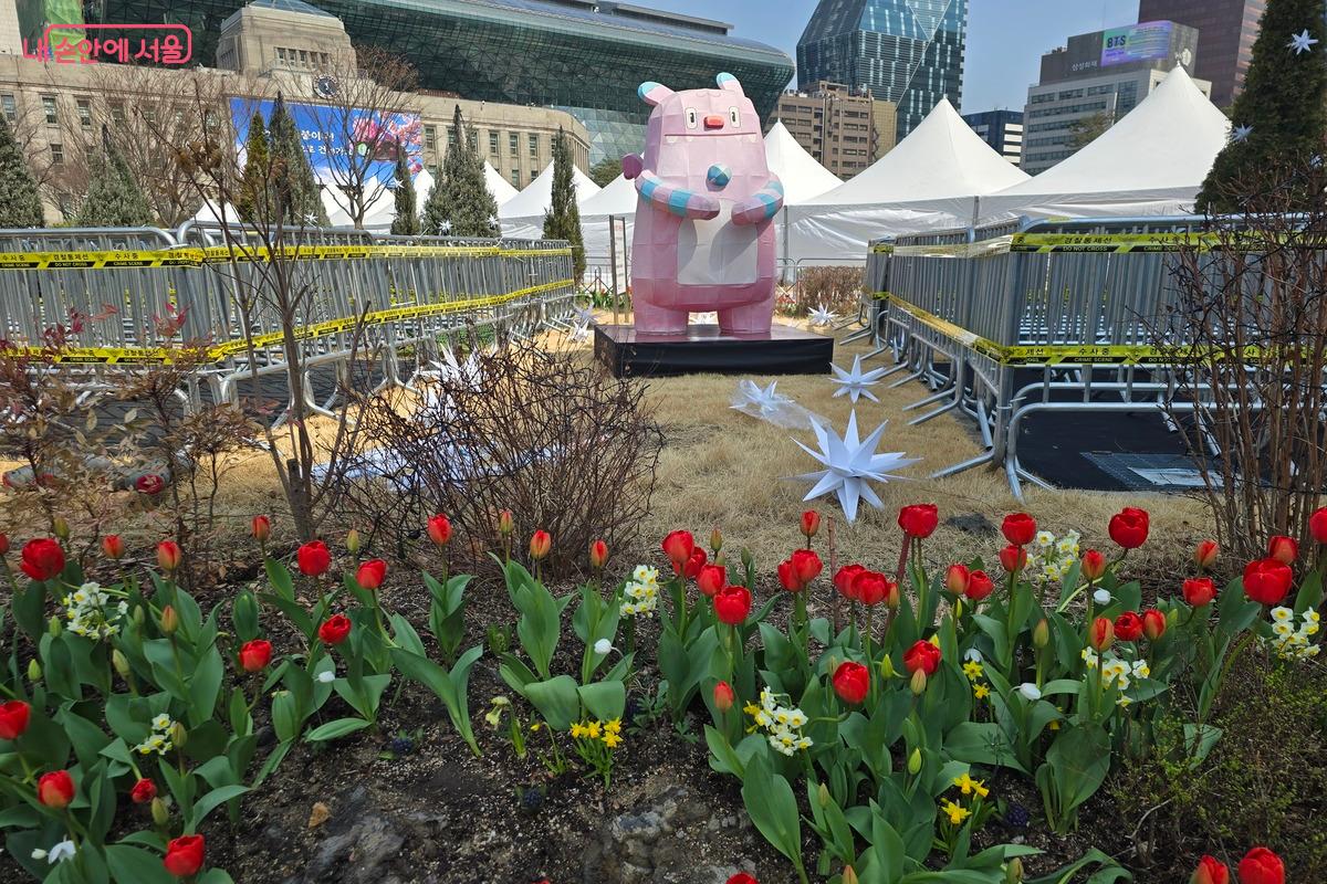 서울광장부터 이어지는 서울의 도심 길에 화려한 봄꽃이 인사를 하고 있다. &copy;천태봉
