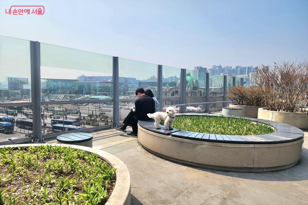 봄기운이 가득한 서울로7017 ©김윤화