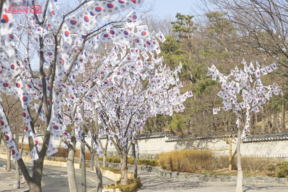 3월 8일까지 효창공원 일대에서 '태극기 거리'가 펼쳐진다. &copy;서지희