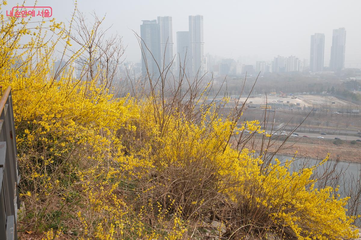 계단을 오르며 바라보는 한강 뷰는 감탄이 절로 나온다. &copy;박우영