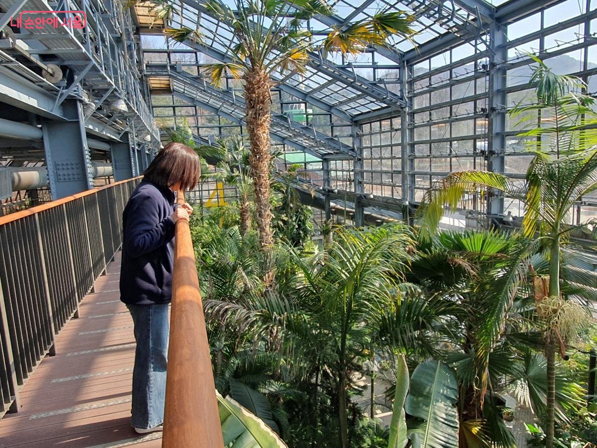 온실 전체를 내려다볼 수 있는 높은 산책길인 공중관람로 &copy;엄윤주