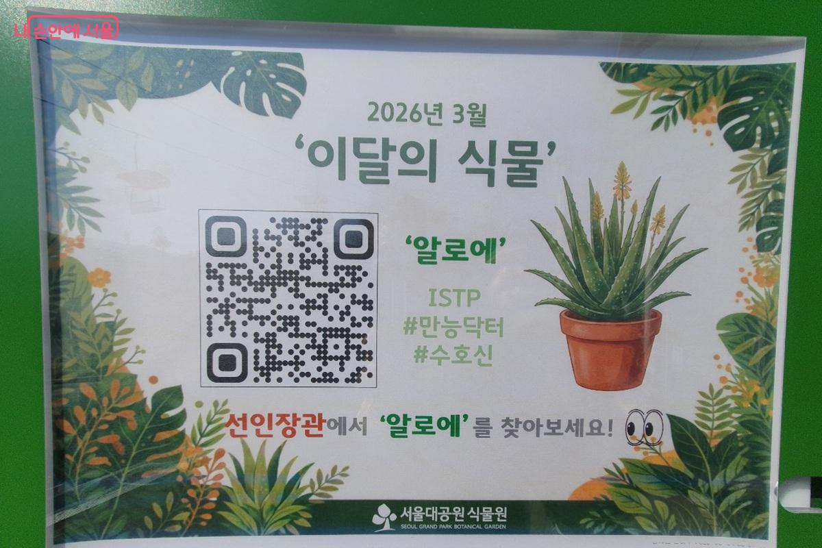 3월 이달의 식물 '알로에' &copy;엄윤주