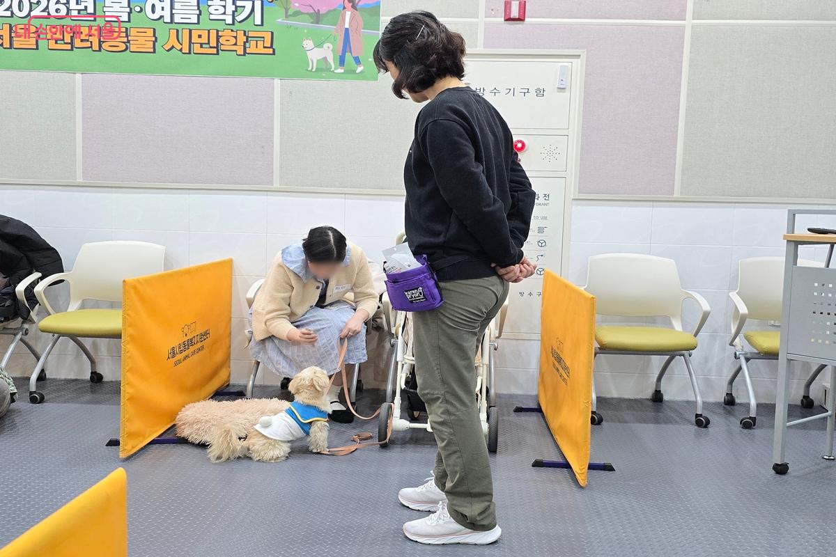 사회화 교육 과정. 반려견이 도시에서 사람과 함께 살아가기 위해 필요한 기본 적응력을 기른다. &copy;강사랑